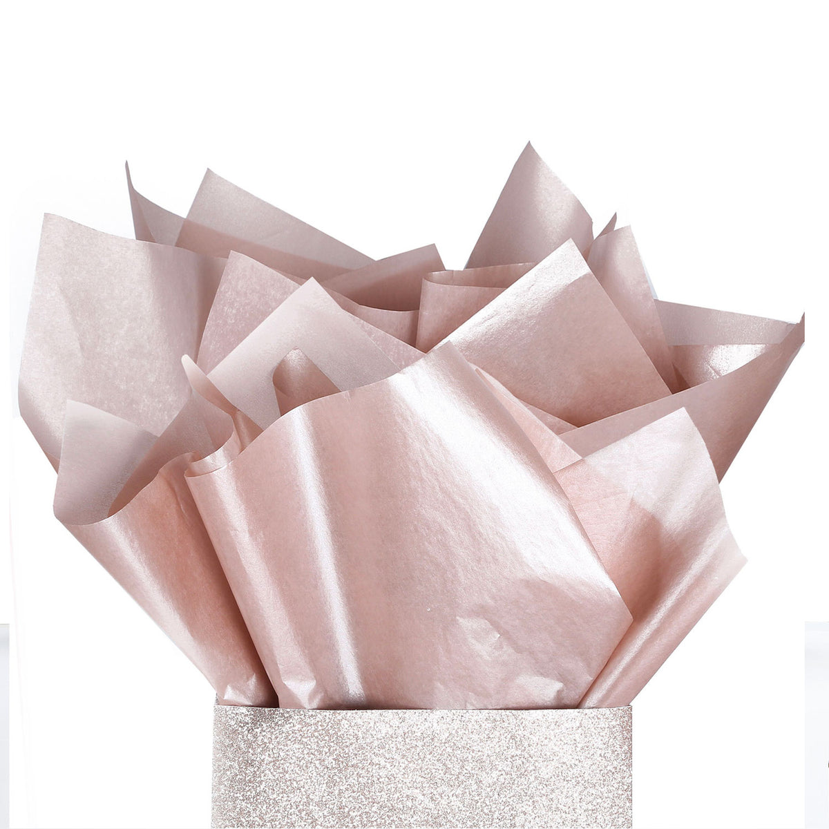 Fair Paper Paper Fair Studio